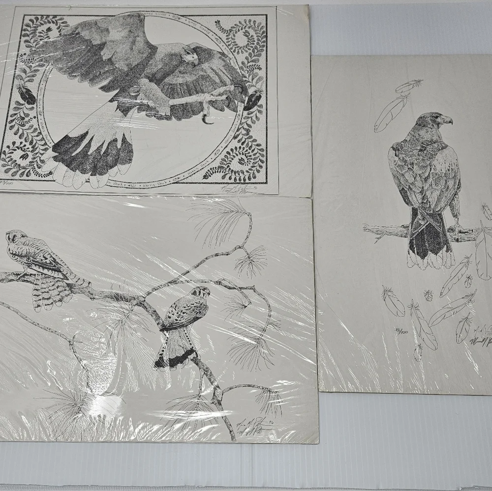 Artist Mafe harris hawk